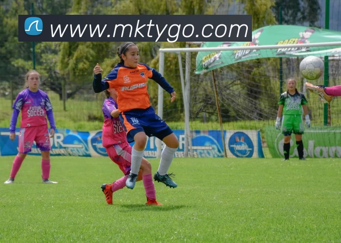 MK体育平台生态图